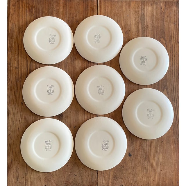 Vintage French Plates from Salins, 1970s, Set of 8 For Sale - Image 6 of 12