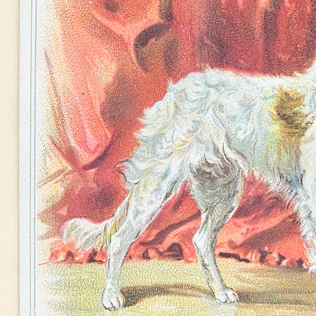 Late 19th Century Victorian Chromolithograph of Russian Wolfhound, c.1890s For Sale - Image 5 of 11
