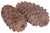 Huge 14" Natural Pine Cones For Sale In Chicago - Image 6 of 6