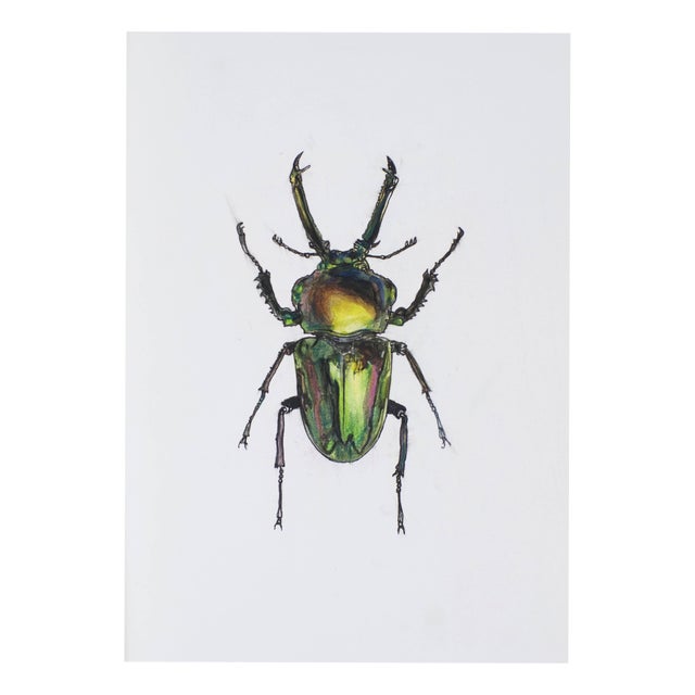 Juris Utans, Green Claw Beetle, 2021, Mixed Media on Paper For Sale