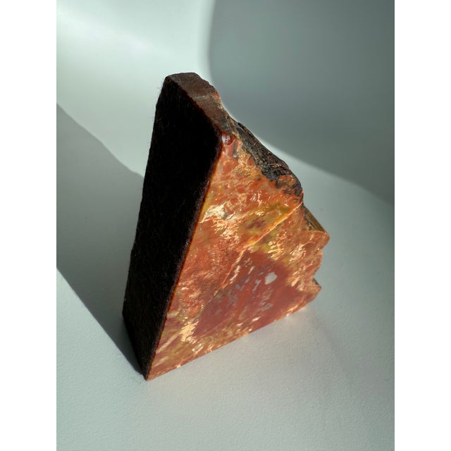 Vintage MCM Pair of Petrified Wood Bookends Arizona Rainbow For Sale - Image 13 of 14