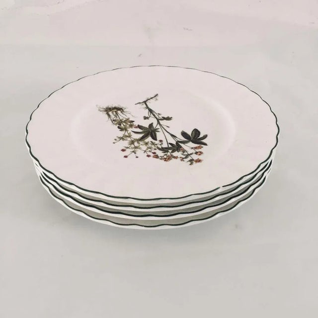 Discontinue 1990's Botanic Design ,Set of Four Salad Plates 8"D ,Makers mark reads, Mikasa DN002 Botany Ultra Cream"...