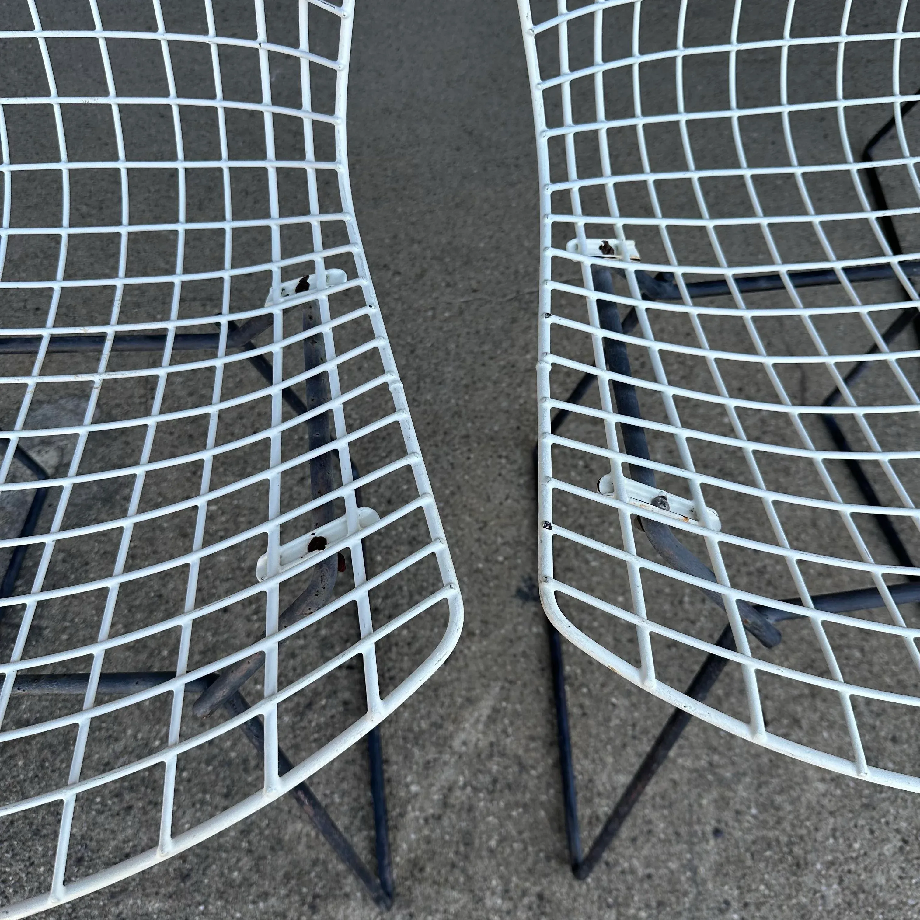 Set of 6 Harry Bertoia Wire Side Chairs for Knoll | Chairish