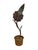 Vintage Antiqued Tole Potted White Flower Sculpture / Toleware Floral / Flower Arrangement For Sale - Image 4 of 6