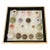 1970s Natures Beauty Sea Shell Collection For Sale