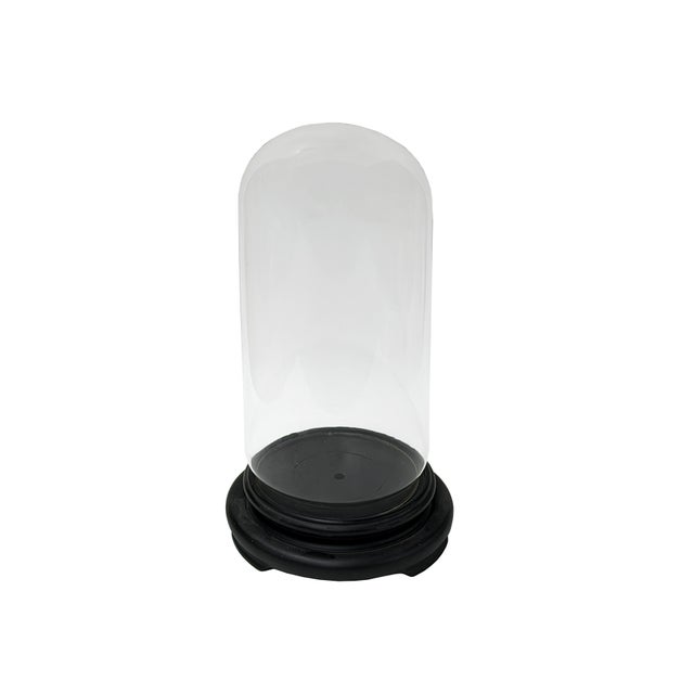 This elegant glass display case, or cloche, features a seamless, transparent dome that rests securely on a rounded,...