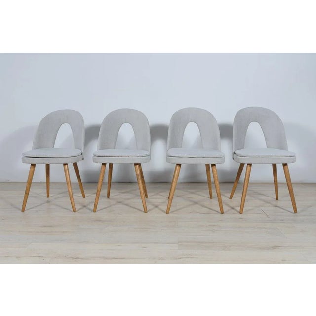 Dining Chairs by Antonín Šuman for Tatra, 1960s, Set of 4 For Sale - Image 14 of 14
