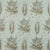Zoffany Desert Flower II Fabric in Stone - a Sample For Sale