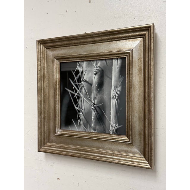 Design Plus Gallery presents Dark Aesthetic Cactus from the Espinas Series by Eugenia Rendon De Olazabel. The print is...