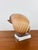 Contemporary Vintage Brown & White Sea Snail Sea Shell on Lucite Base For Sale - Image 3 of 6