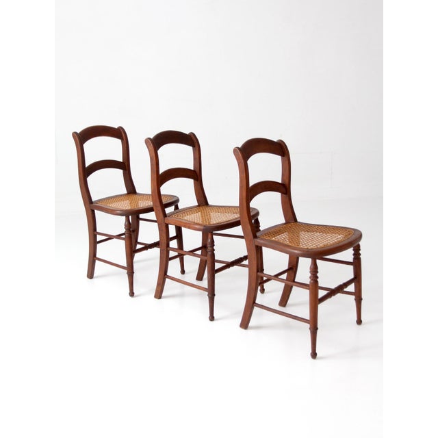 Antique Cane Seat Dining Chairs Set of 3 For Sale - Image 13 of 14