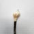 Mid-20th Century Coastal Mother of Pearl & Whelk Shell Caviar Spoon - Ornate Handle For Sale In Orlando - Image 6 of 8