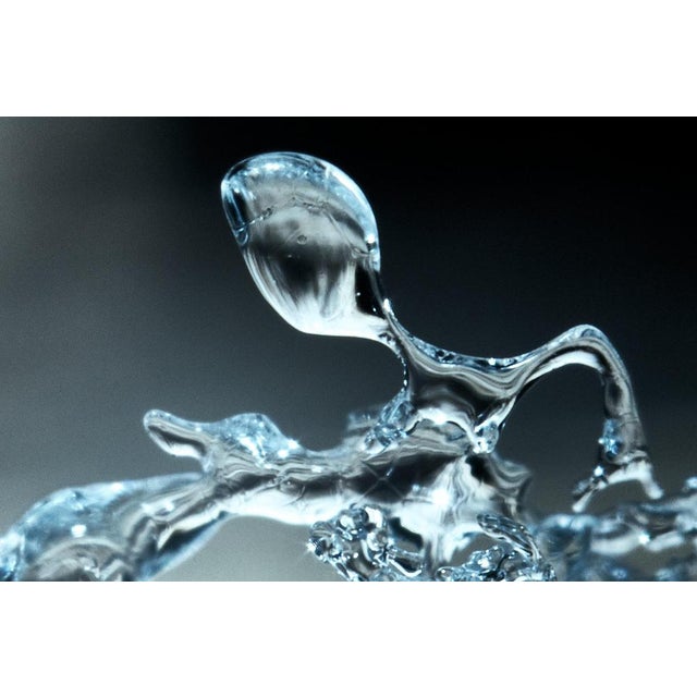 Contemporary Marko Milić, Dancing Phantom, Abstract Photography For Sale - Image 3 of 6