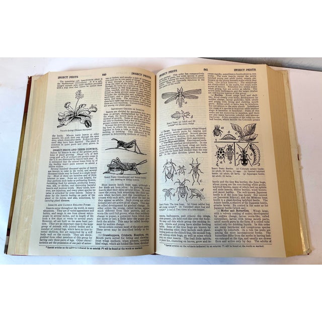 1950s 1956 Taylor’s Encyclopedia of Gardening Book For Sale - Image 5 of 6