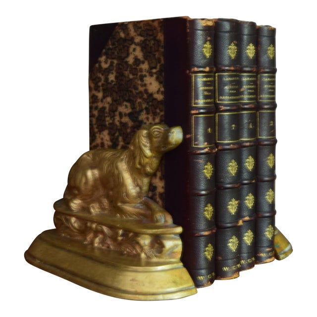 Antique Brass Dogs Bookends, Early 20th Century For Sale