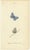 William Home Lizars, Cabinet-Size Butterfly Jewel-Tone Species, 1835, Engravings, Set of 6 For Sale - Image 3 of 9