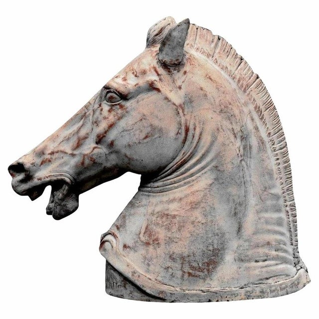 Roman Horse in Terracotta, Late 19th Century For Sale - Image 5 of 6