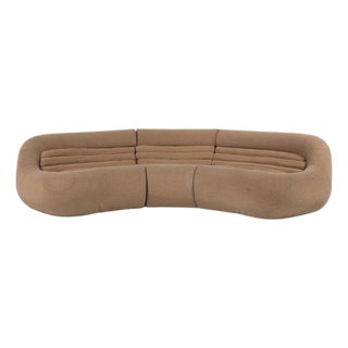 Carrera Sofa attributed to De Pas, D'Urbino and Lomazzi for BBB Bonacina, 1960s For Sale