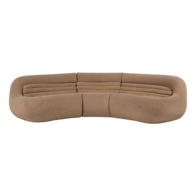Carrera Sofa attributed to De Pas, D'Urbino and Lomazzi for BBB Bonacina, 1960s For Sale