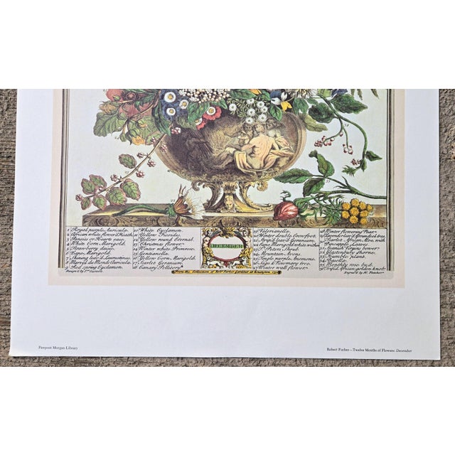 1980s Vintage Robert Furber December Botanical From "Twelve Months of Flowers” Pierpont Morgan Library Print For Sale - Image 4 of 11