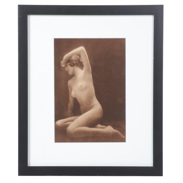 Art Deco Collection of Three Nude Photogravures From "Woman, Nature and Civilization," 1925 For Sale - Image 3 of 14