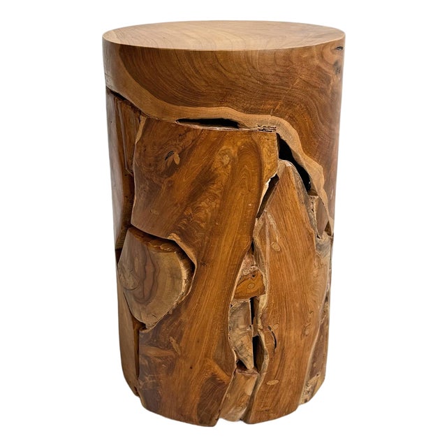 Teak Root Cylinder End Side Table For Sale