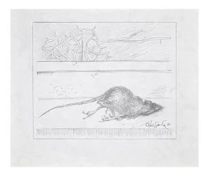 Leo Guida, Dead Rat, Pencil Drawing, 1971