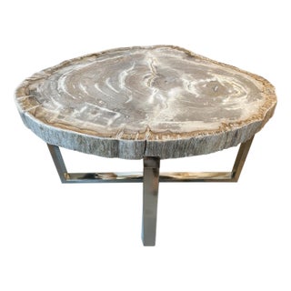 Andrianna Shamaris High Quality Petrified Wood Slab Top Side Table For Sale