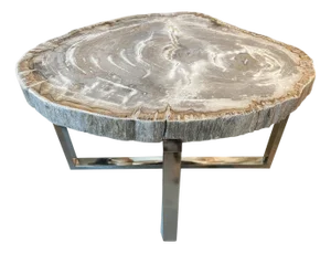 Andrianna Shamaris High Quality Petrified Wood Slab Top Side Table