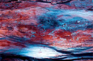 Marko Milić, The Land of Free, Abstract Photography