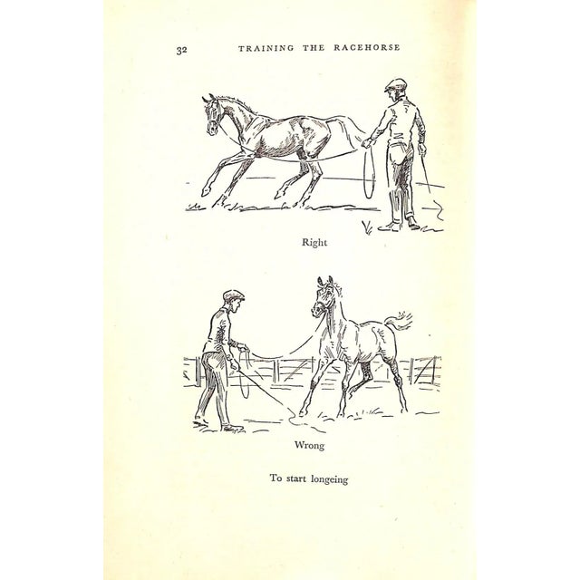 "Training the Racehorse" 1959 Stewart, Lt.-Col. P. D. For Sale In New York - Image 6 of 13