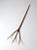 Late 19th Century Antique Primitive Hay Fork For Sale - Image 5 of 11