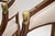 Antique Swedish Neoclassical Armchairs, 1900s, Set of 2 For Sale - Image 9 of 11