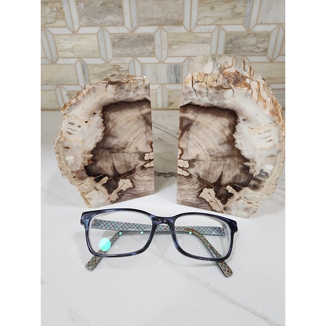 Wood 1970s Set of Mid Century Modern Petrified Wood Bookends For Sale - Image 7 of 7