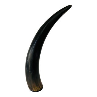 1990s Boho Horn on Stand For Sale