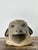 Late 19th Century Vintage Painted Ram Bust For Sale - Image 5 of 18