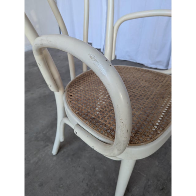 1970s Vintage Dining Chair in White Beech and Bentwood Cane Seat, 1970s For Sale - Image 5 of 18