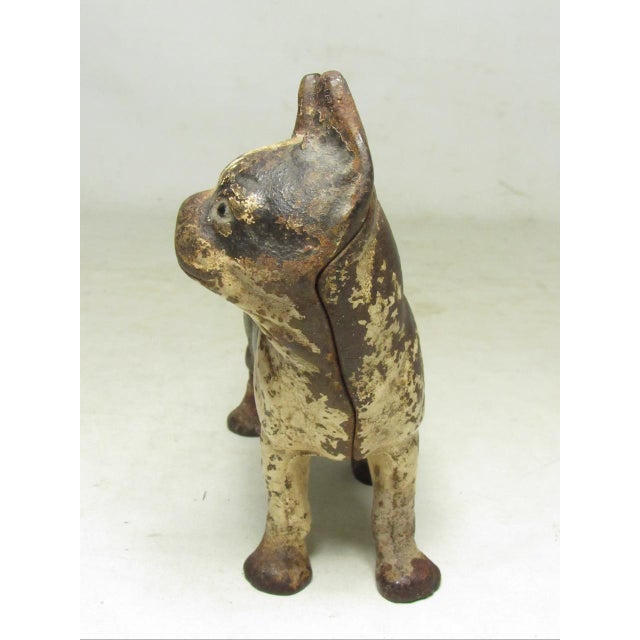 1930s Cast Iron Hubley Boston Terrier Doorstop For Sale - Image 5 of 17