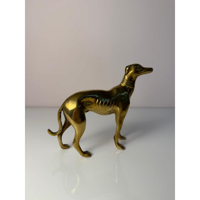 Metal Brass Greyhound, Denmark, Set of 2 For Sale - Image 7 of 11