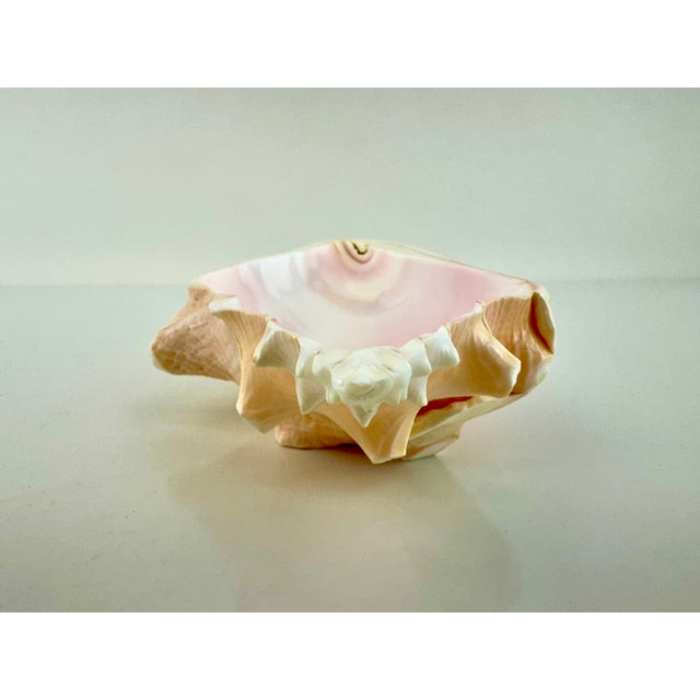1960s Mid 20th Century Coastal Pink Conch Shell Serving Bowl With Matching Spoon For Sale - Image 5 of 13