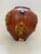 Mid 20th Century Mid 20th Century Rare Hand-Thrown 10" Tang Dynasty Style Sancai Glazed Pottery Medallion Jar For Sale - Image 5 of 12