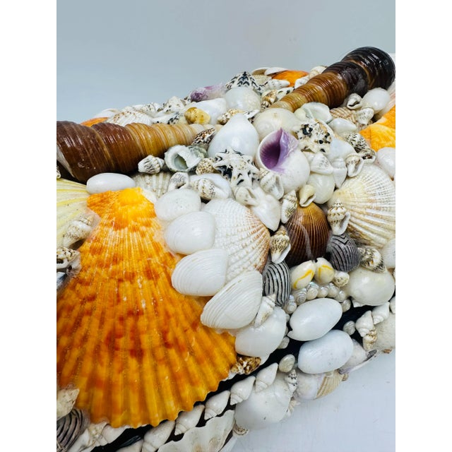 Vintage Domed Shell Box For Sale In Charleston - Image 6 of 9