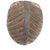 Songye Kifwebe Mask, Democratic Republic of Congo For Sale - Image 4 of 9