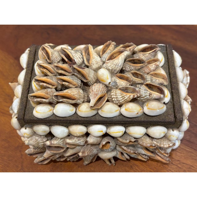 Vintage Palm Beach Style Rectangular Encrusted Shell Box in Neutral Palette For Sale - Image 17 of 18
