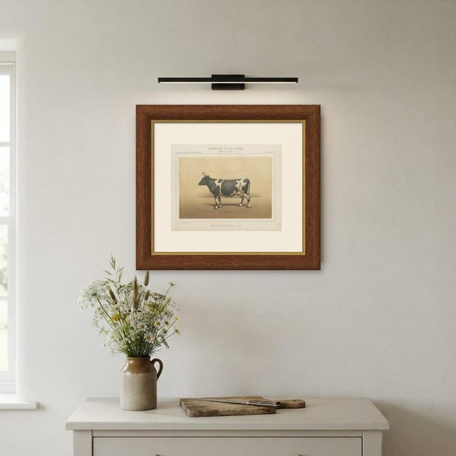 Paper Borie, Breton Cow, French Cattle Breed, 1863, Paper For Sale - Image 7 of 9