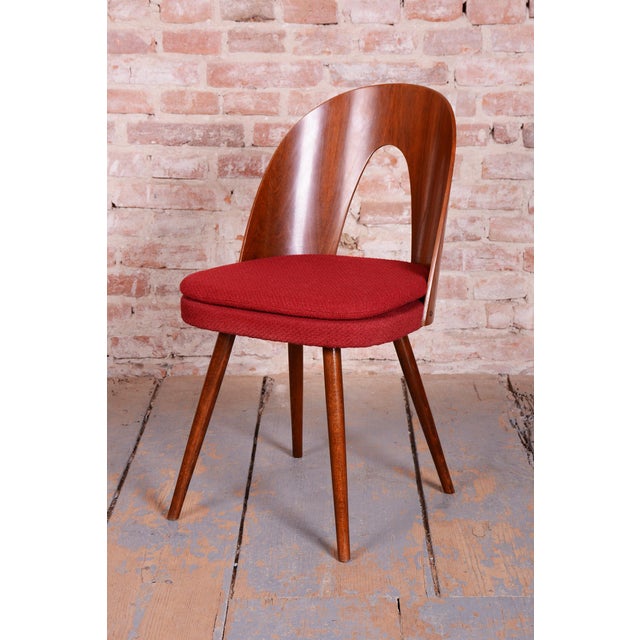 Mid-Century Walnut Chairs from Antonín Šuman, Czech, 1950s, Set of 4 For Sale - Image 13 of 18