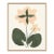 Desert Rose by Susan Hable For Sale