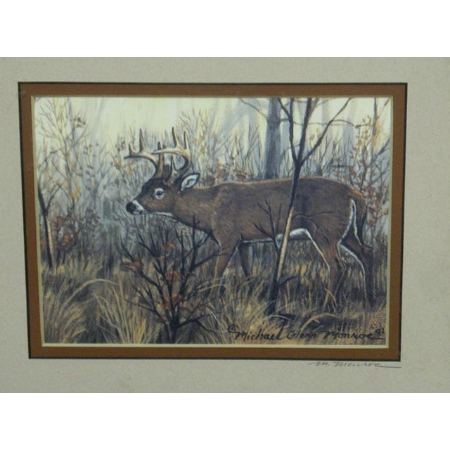 Michael Glenn Monroe "Whitetail Buck" Framed Animal Print Chairish