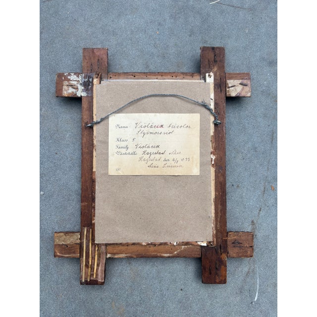 1930s Tramp Art Frame With Pressed Flowers, Dated 1933 For Sale - Image 5 of 6