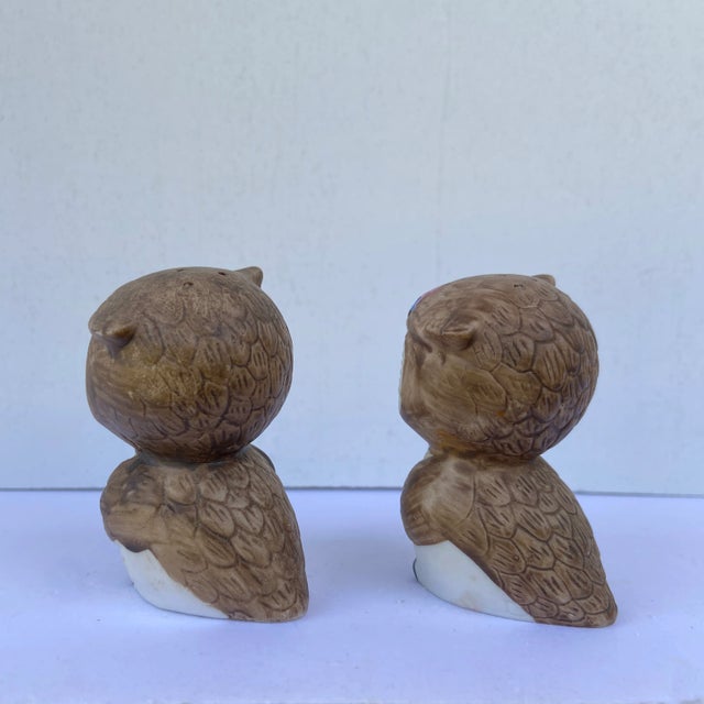 Mid-Century Owl Salt & Pepper Shakers- a Pair For Sale - Image 4 of 13
